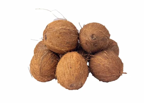 Coconut