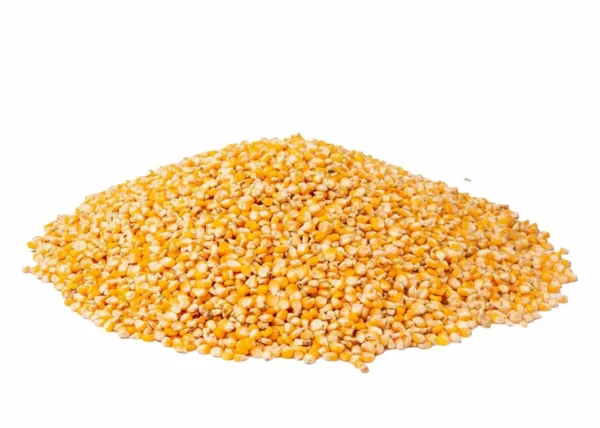 Corn- Yellow (Paint Bucket)