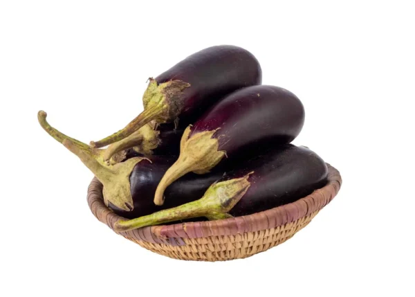 Eggplant