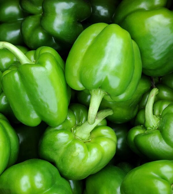 Green Pepper (1kg)