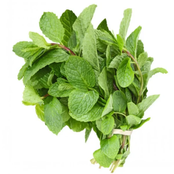 Mint Leaf (1 Bunch)