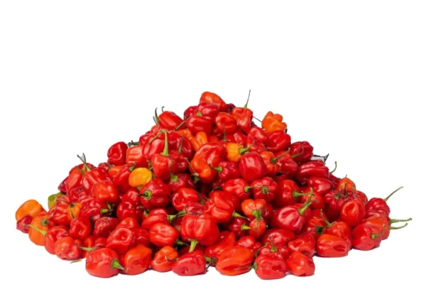 Pepper - Ata Rodo Grade B (1kg)