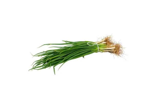 Spring Onion