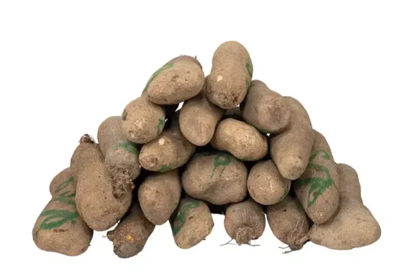 Yam - Benue (Per Tuber)