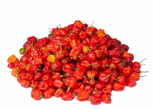 Pepper - Red Habanero (1kg)